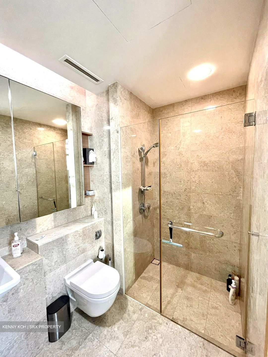 Soleil @ Sinaran (D11), Condominium #635984761